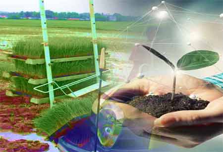 Mia Chandler, AgTech Manager, Corteva Agriscience | Chemical Industry Review