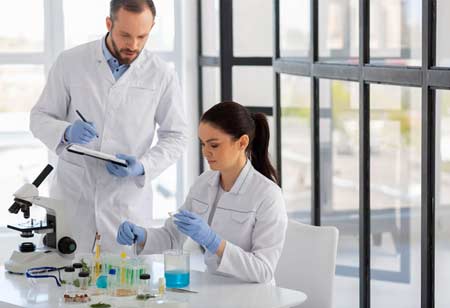 Navigating Change: The Evolution of Chemical Consulting in Europe